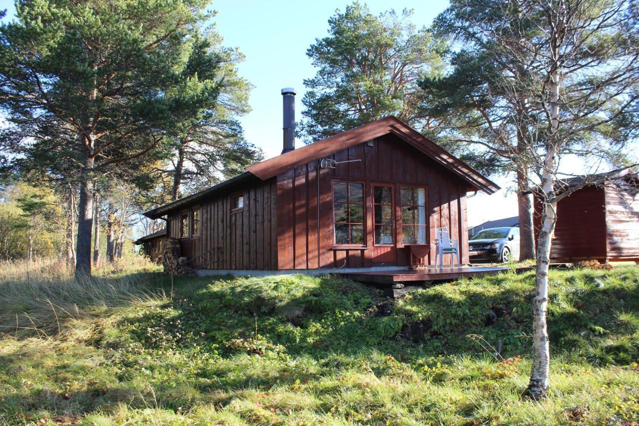 Adnebu By Norgesbooking - Cabin With 3 Bedrooms Geilo Εξωτερικό φωτογραφία