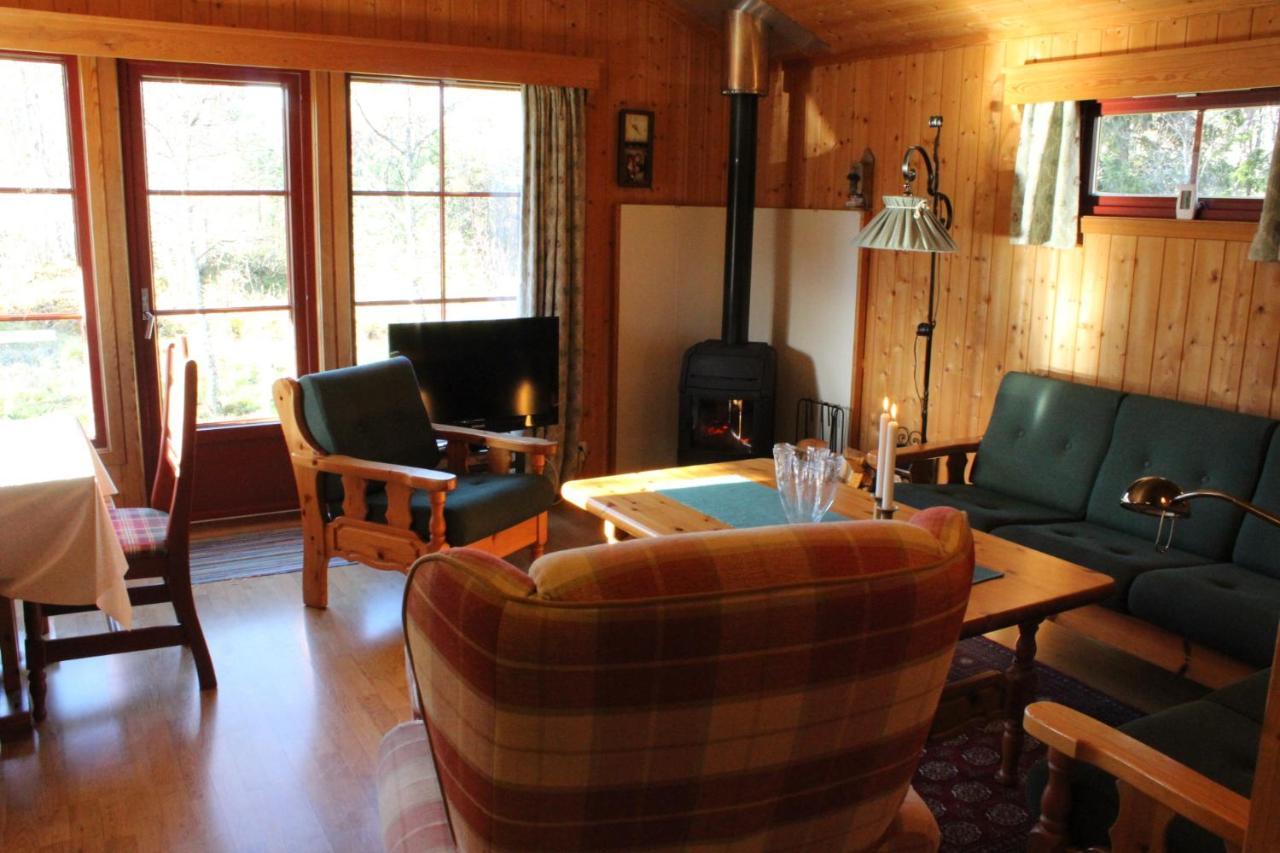 Adnebu By Norgesbooking - Cabin With 3 Bedrooms Geilo Εξωτερικό φωτογραφία